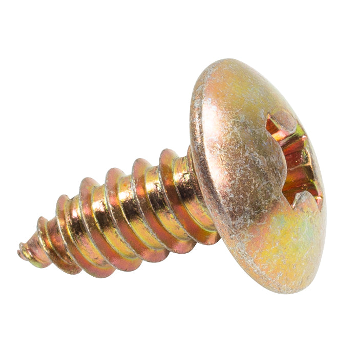 Phillips Truss Head License Plate Screw M6.3-1.81 x 15mm