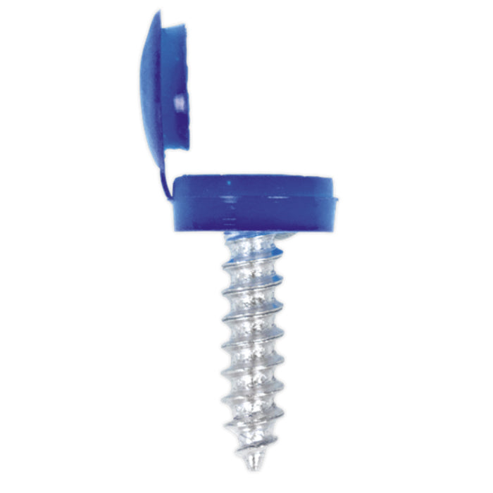 Blue Number plate Screw 6x20mm with Flip Cap