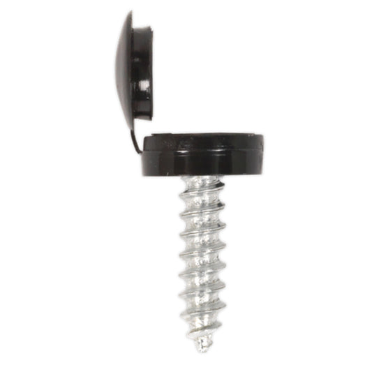 Black Number plate Screw 4.2x19mm with Flip Cap