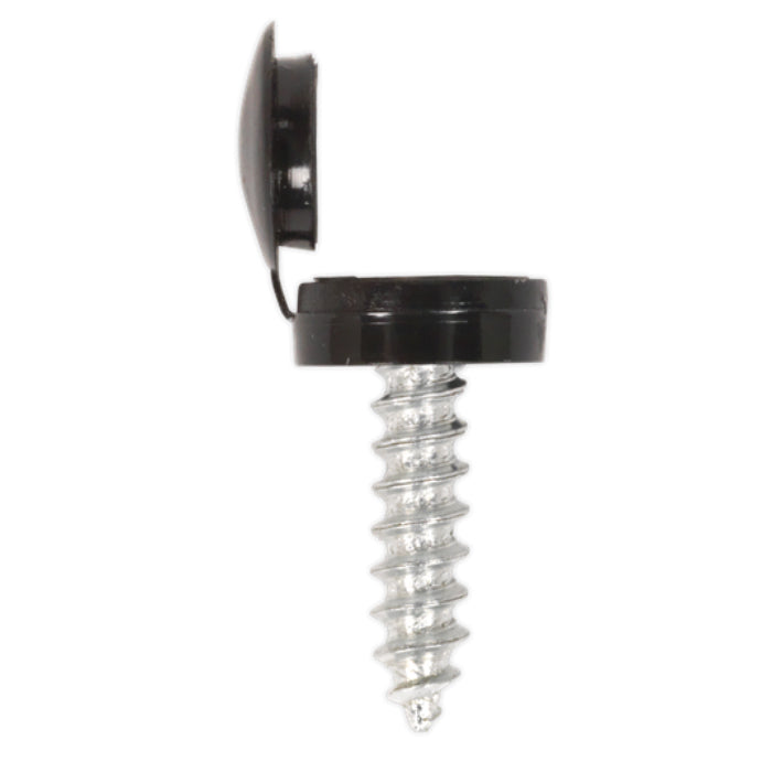 Black Number plate Screw 6x20mm with Flip Cap