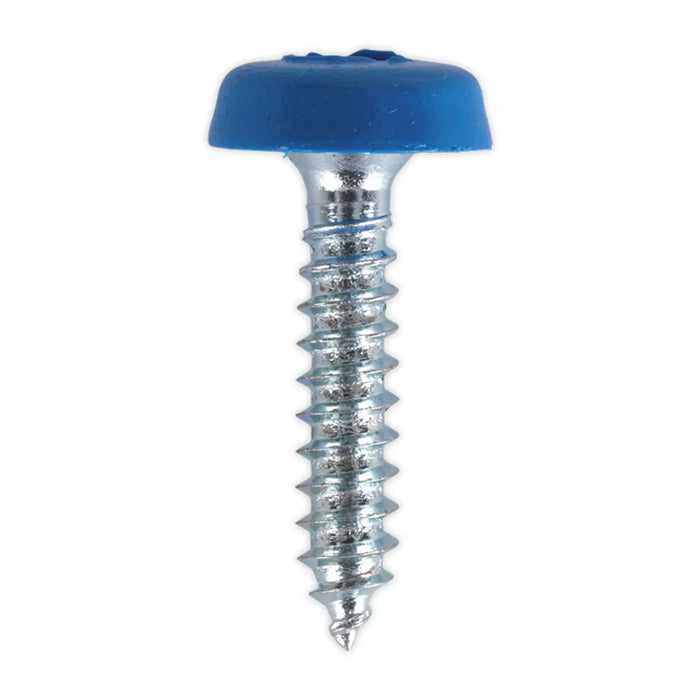 4.8x24mm Number Plate Screws Moulded Polytop Screws Blue