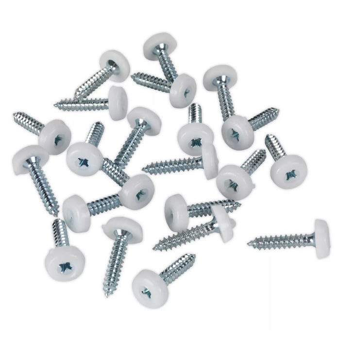 4.8x24mm Number Plate Screws Moulded Polytop Screws White