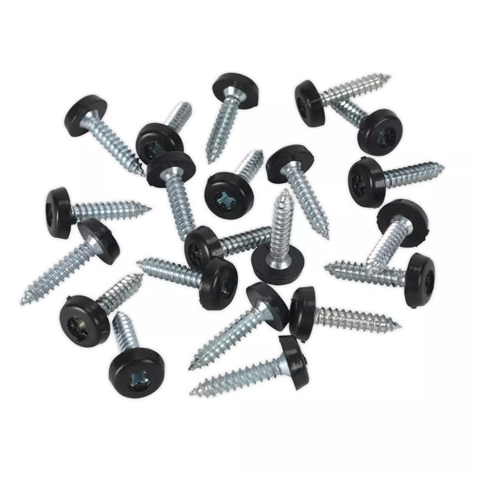 4.8x24mm Number Plate Screws Moulded Polytop Screws Black