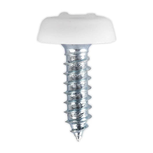 4.8x18mm Number Plate Screws Moulded Polytop Screws White