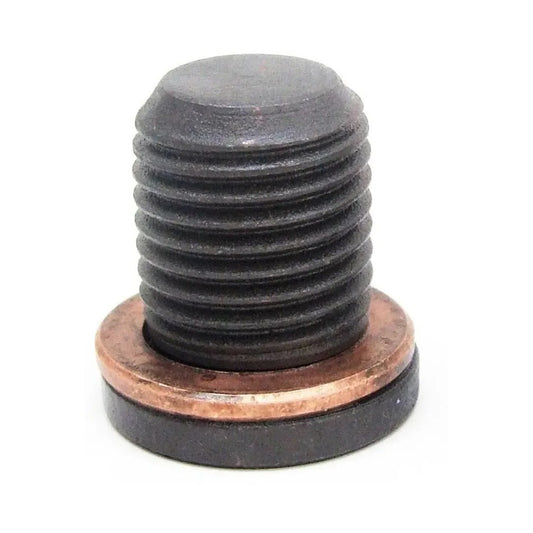 N90856001 N91086801 M14-1.5 oil drain plug for VW