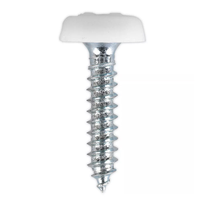 4.8x24mm Number Plate Screws Moulded Polytop Screws White