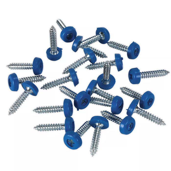 4.8x24mm Number Plate Screws Moulded Polytop Screws Blue