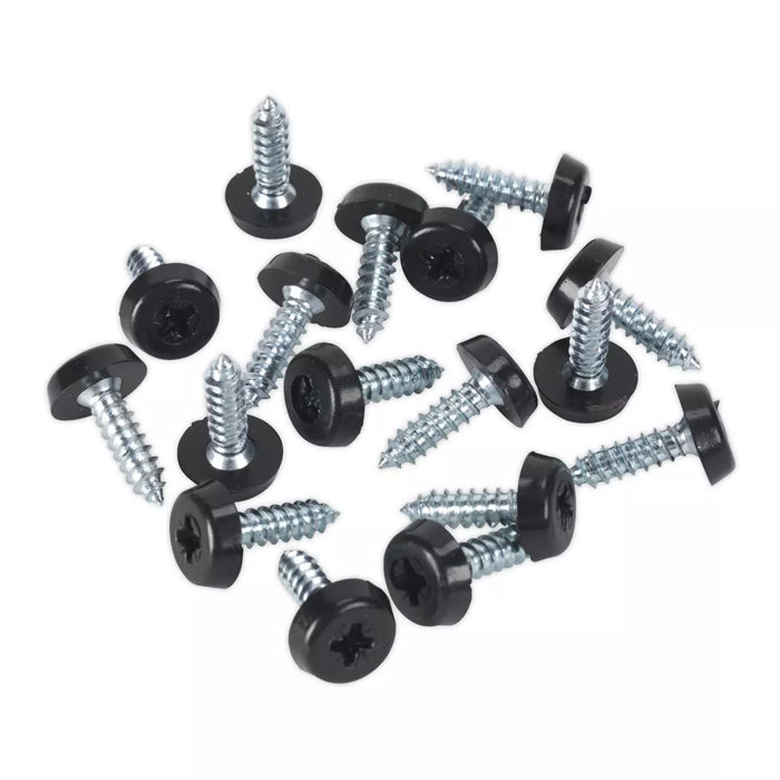 4.8x18mm Number Plate Screws Moulded Polytop Screws Black