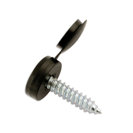 Black Number plate Screw 4.2x19mm with Flip Cap