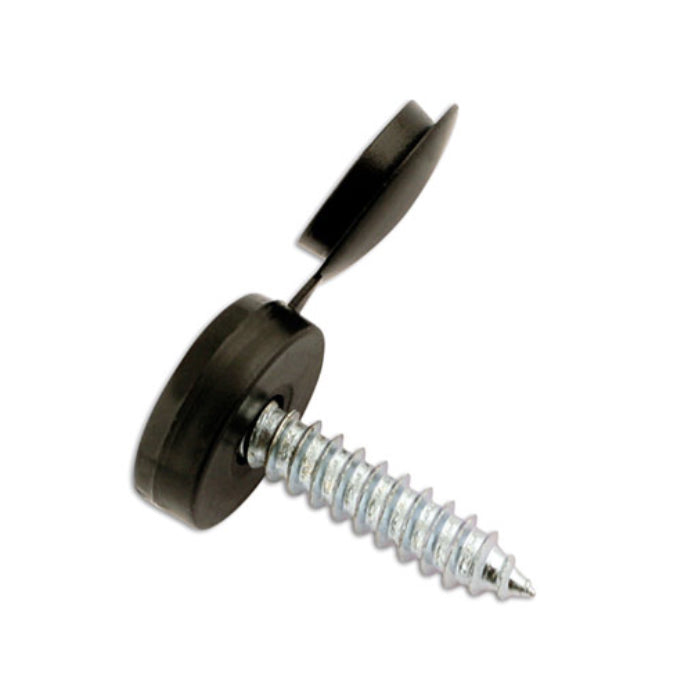 Black Number plate Screw 6x20mm with Flip Cap