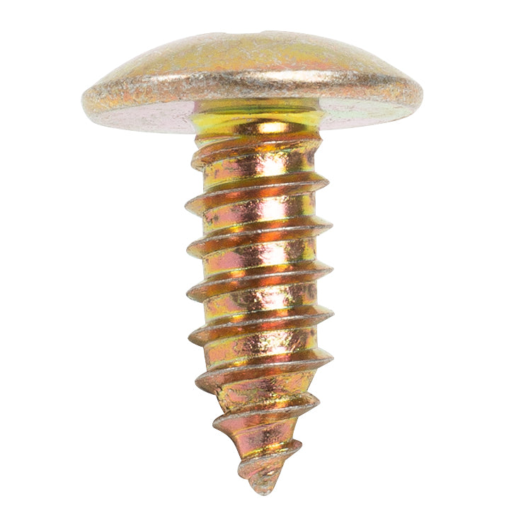 Phillips Truss Head License Plate Screw M6.3-1.81 x 15mm