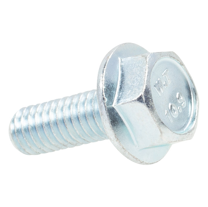 Hex Flange License Plate Screw M6-1.0 x 16mm