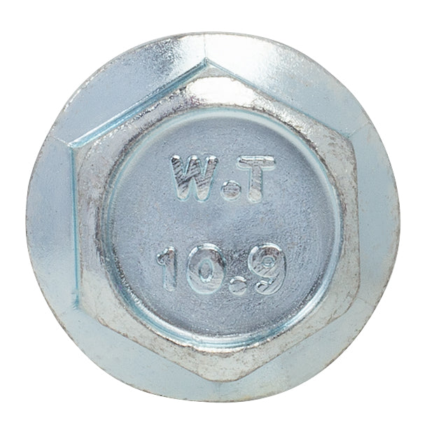 Hex Flange License Plate Screw M6-1.0 x 16mm