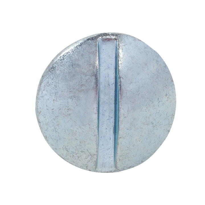 #14 x 3/4" Slotted Truss Head License Plate Screw Zinc