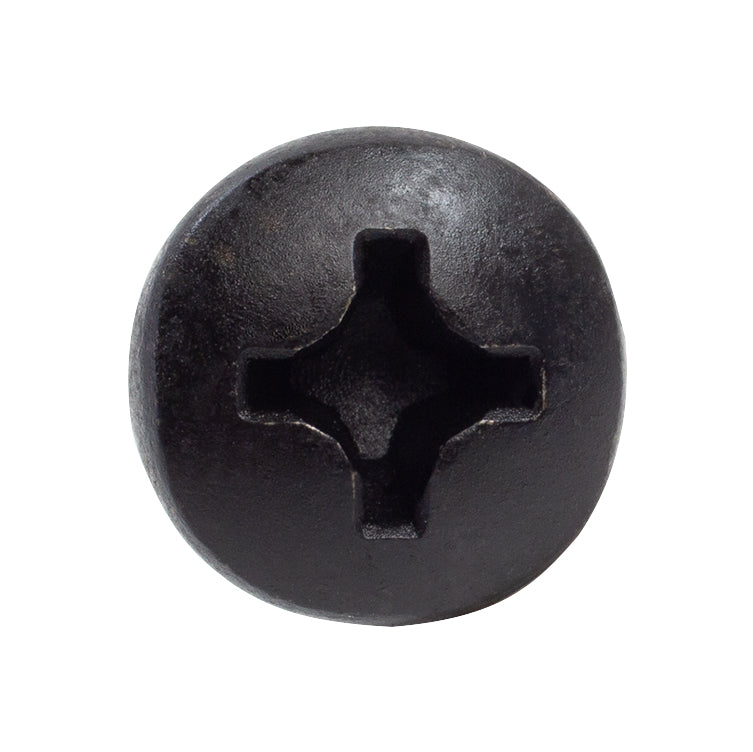 Phillips Pan Head License Plate Screw M6-1.0 x 20mm