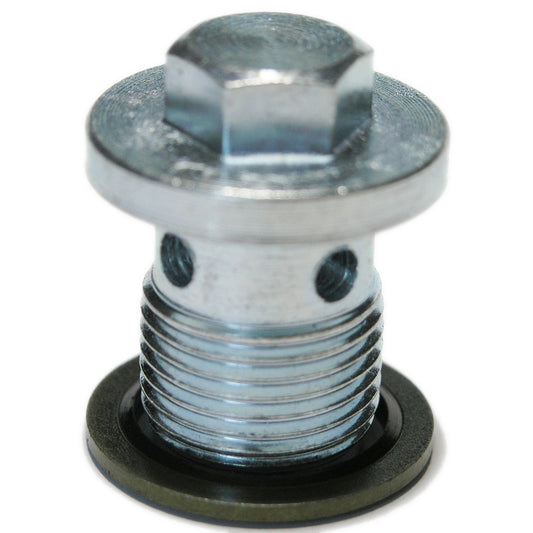 55196505 93183669 55588255 55188007 Fiat oil drain plug